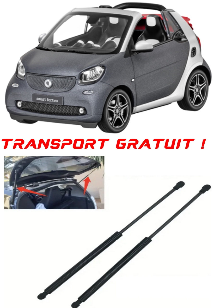 Set 2 amortizoare Haion portbagaj pentru masina Smart FORTWO Convertible (453)