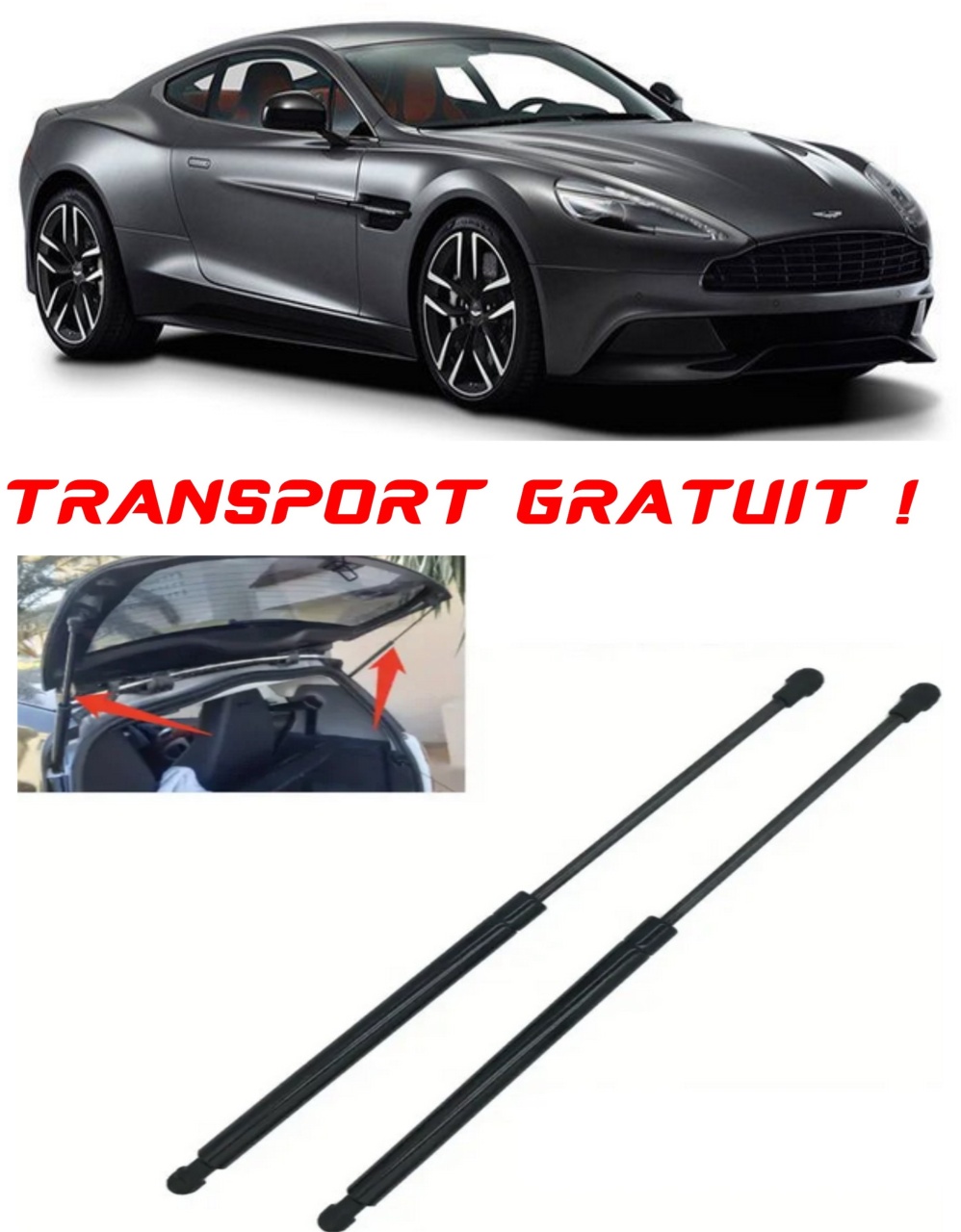 Set 2 amortizoare Haion portbagaj pentru masina Aston Martin DB9 Vantage