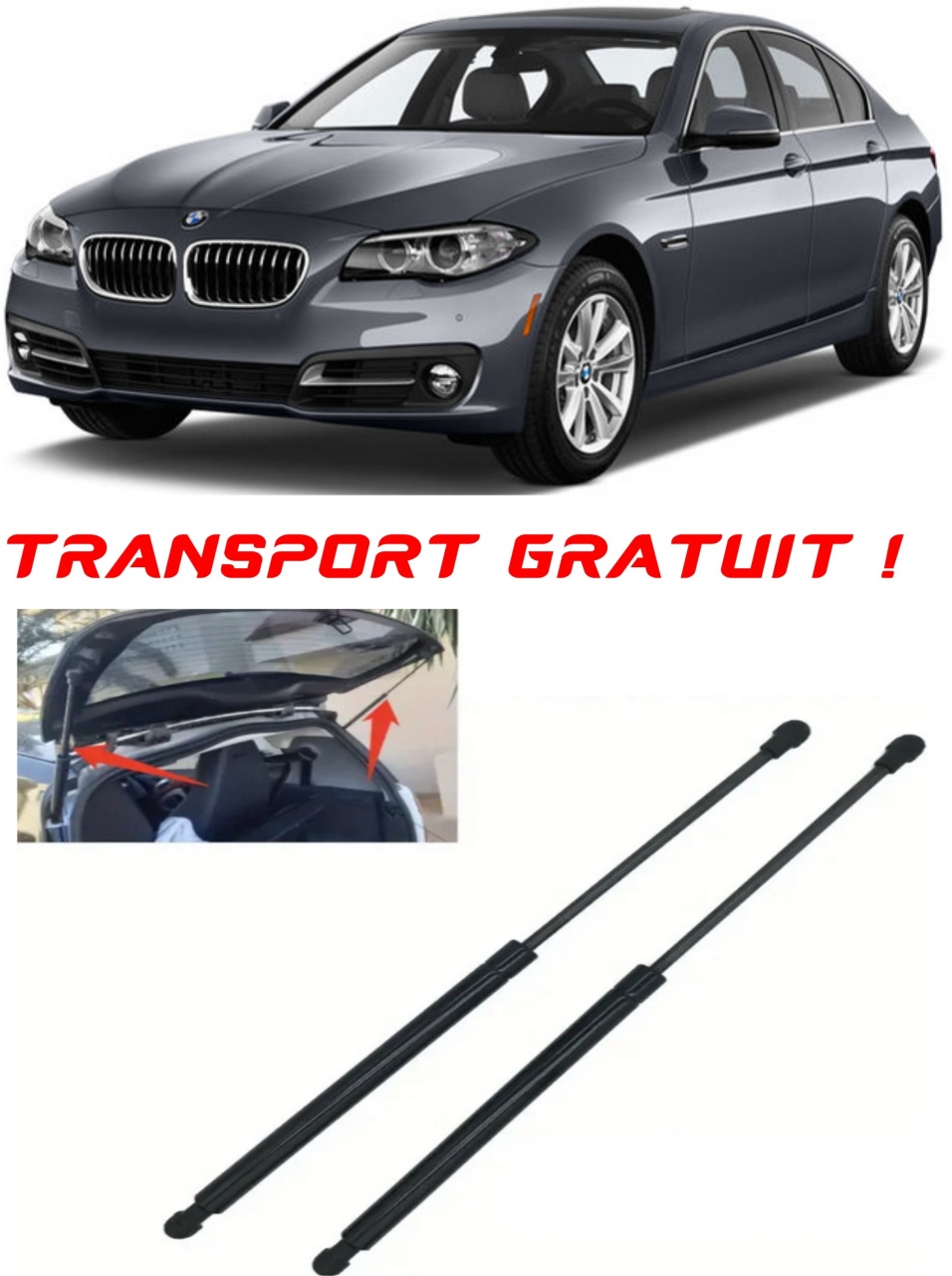 Set 2 amortizoare Haion portbagaj pentru masina BMW 5 (F10)