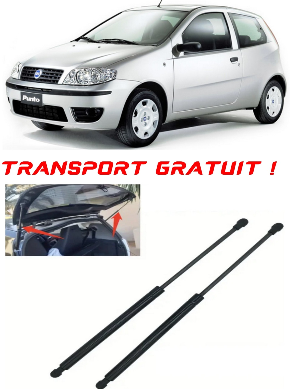 Set 2 amortizoare Haion portbagaj pentru masina Fiat PUNTO (188_)