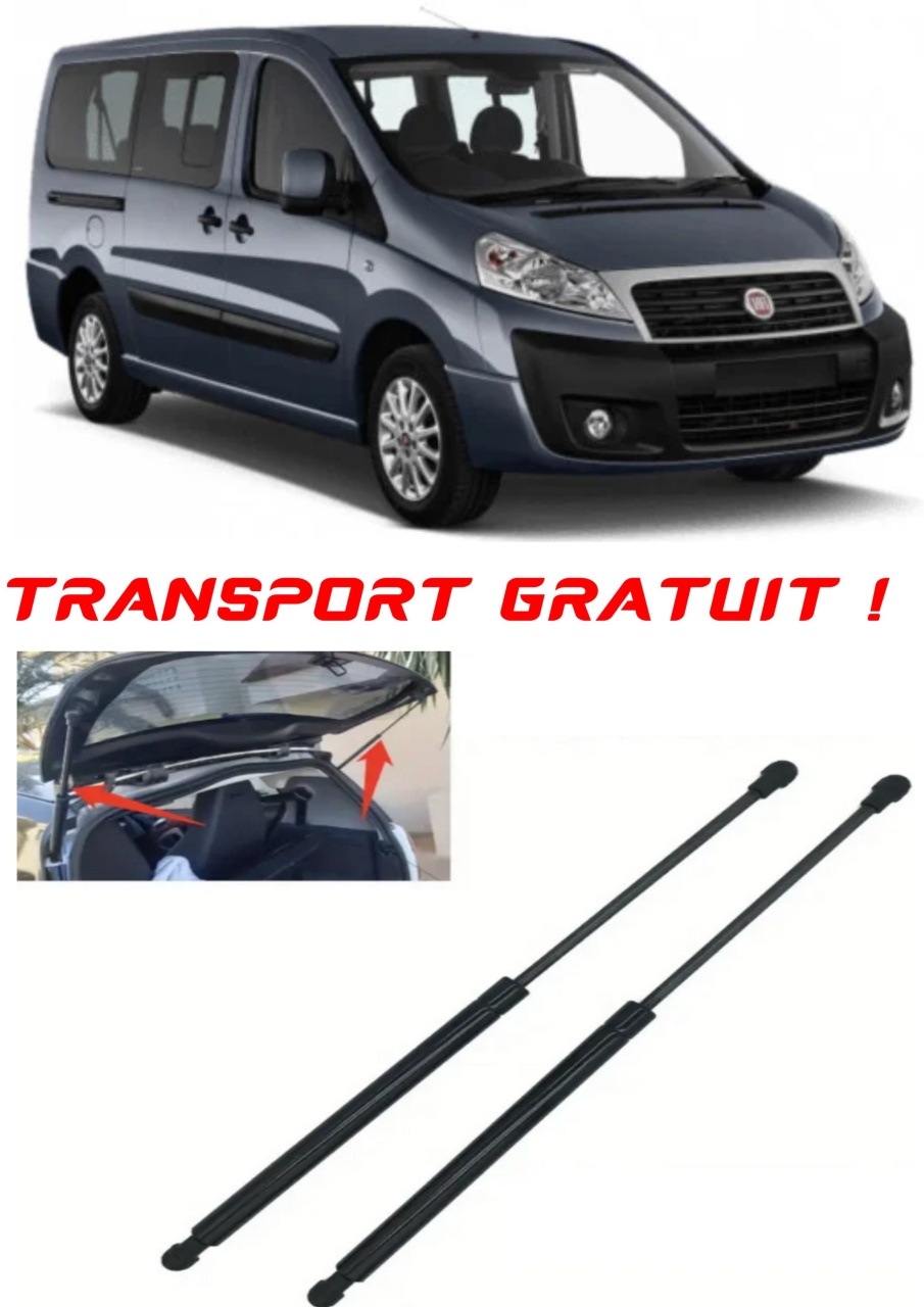 Set 2 amortizoare Haion portbagaj pentru masina Fiat 272_), SCUDO Bus (270_