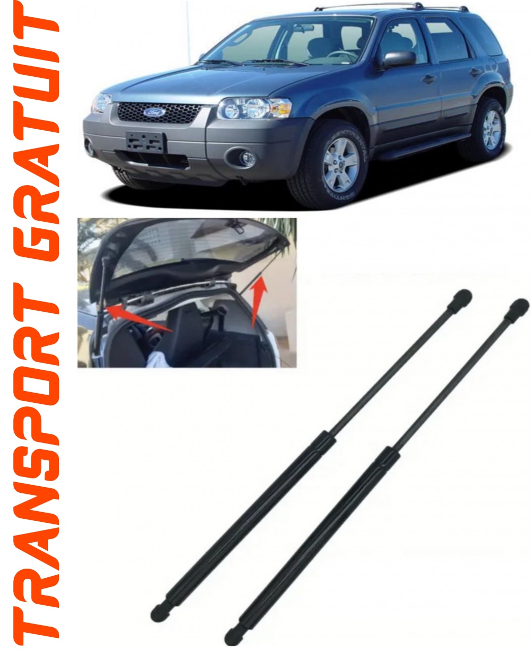 Set 2 amortizoare Haion portbagaj pentru masina Ford Maverick