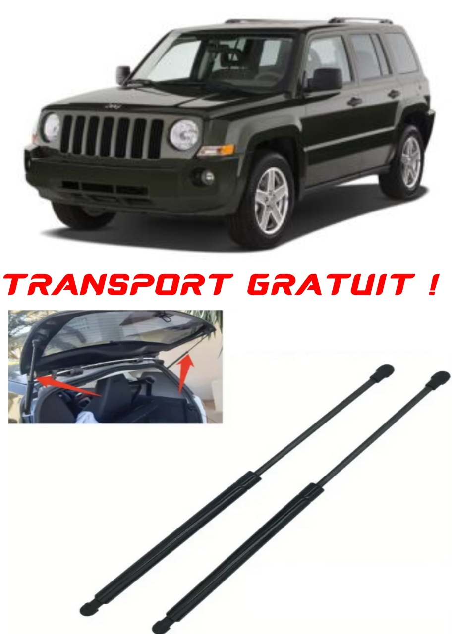 Set 2 amortizoare Haion portbagaj pentru masina JEEP PATRIOT (MK74)