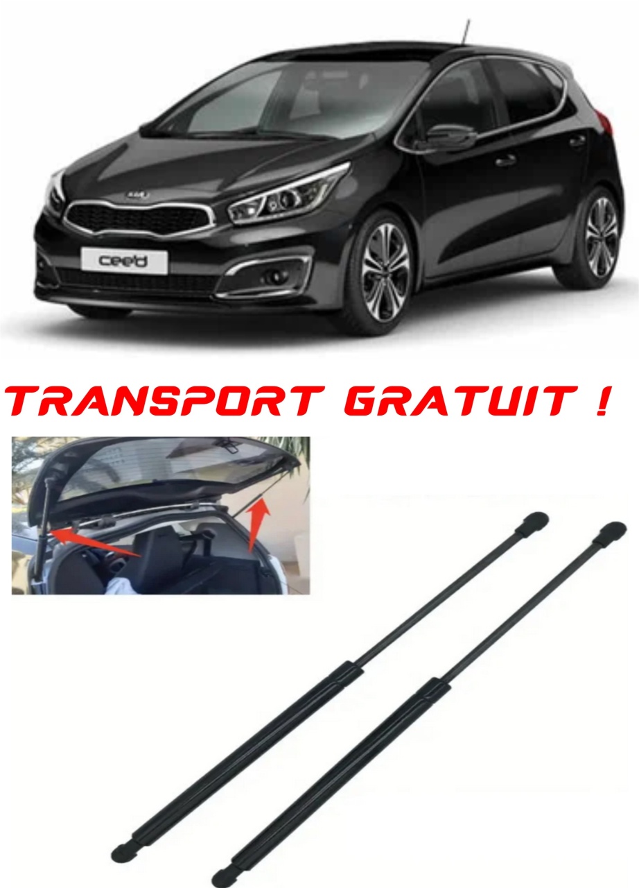 Set 2 amortizoare Haion portbagaj pentru masina Kia CEE'D Hatchback (ED)