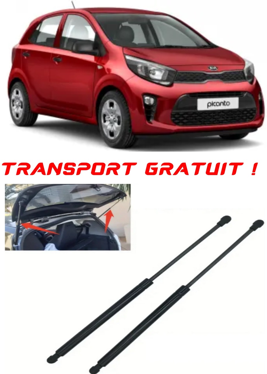 Set 2 amortizoare Haion portbagaj pentru masina Kia PICANTO III (JA)