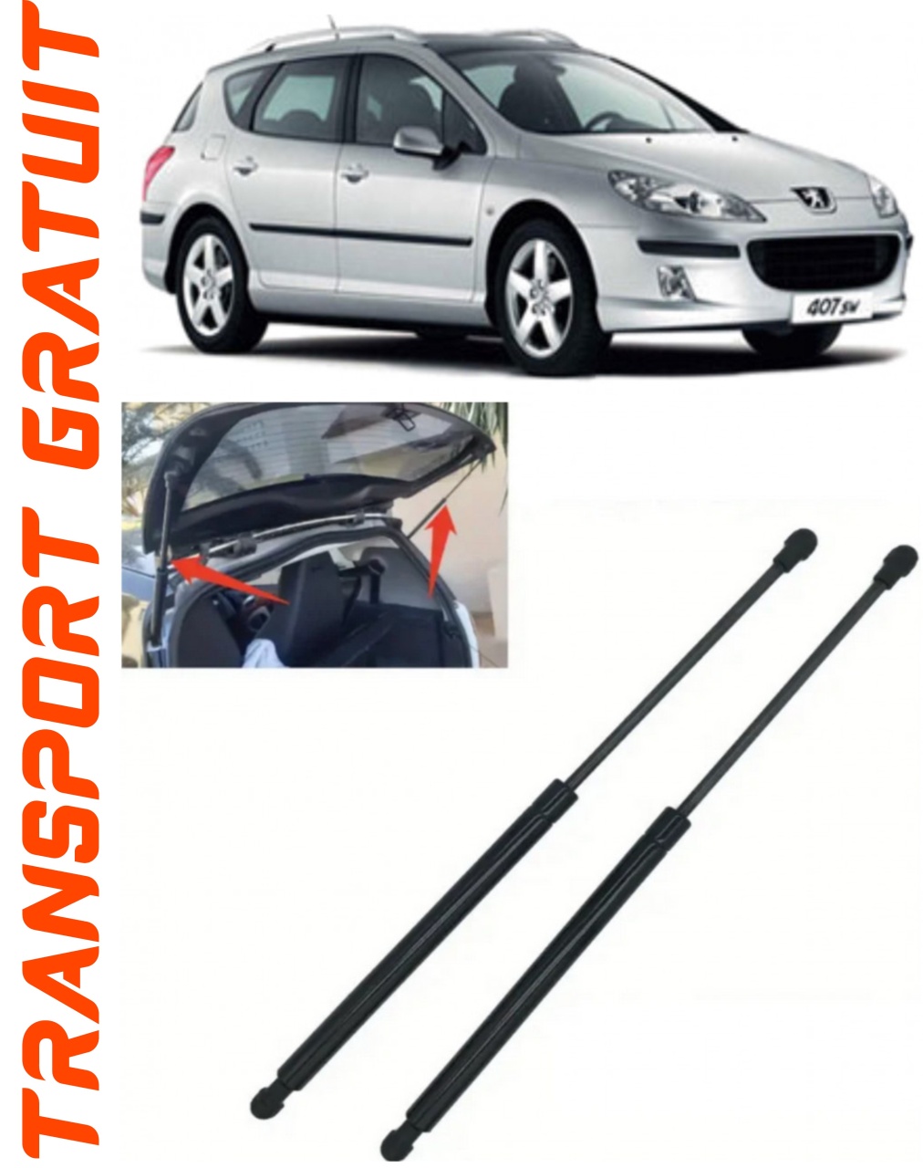 Set 2 amortizoare Haion portbagaj pentru masina Peugeot 407
