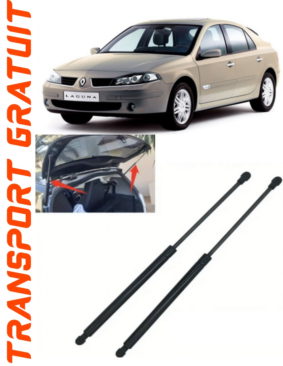 Set 2 amortizoare Haion portbagaj pentru masina Renault Laguna II