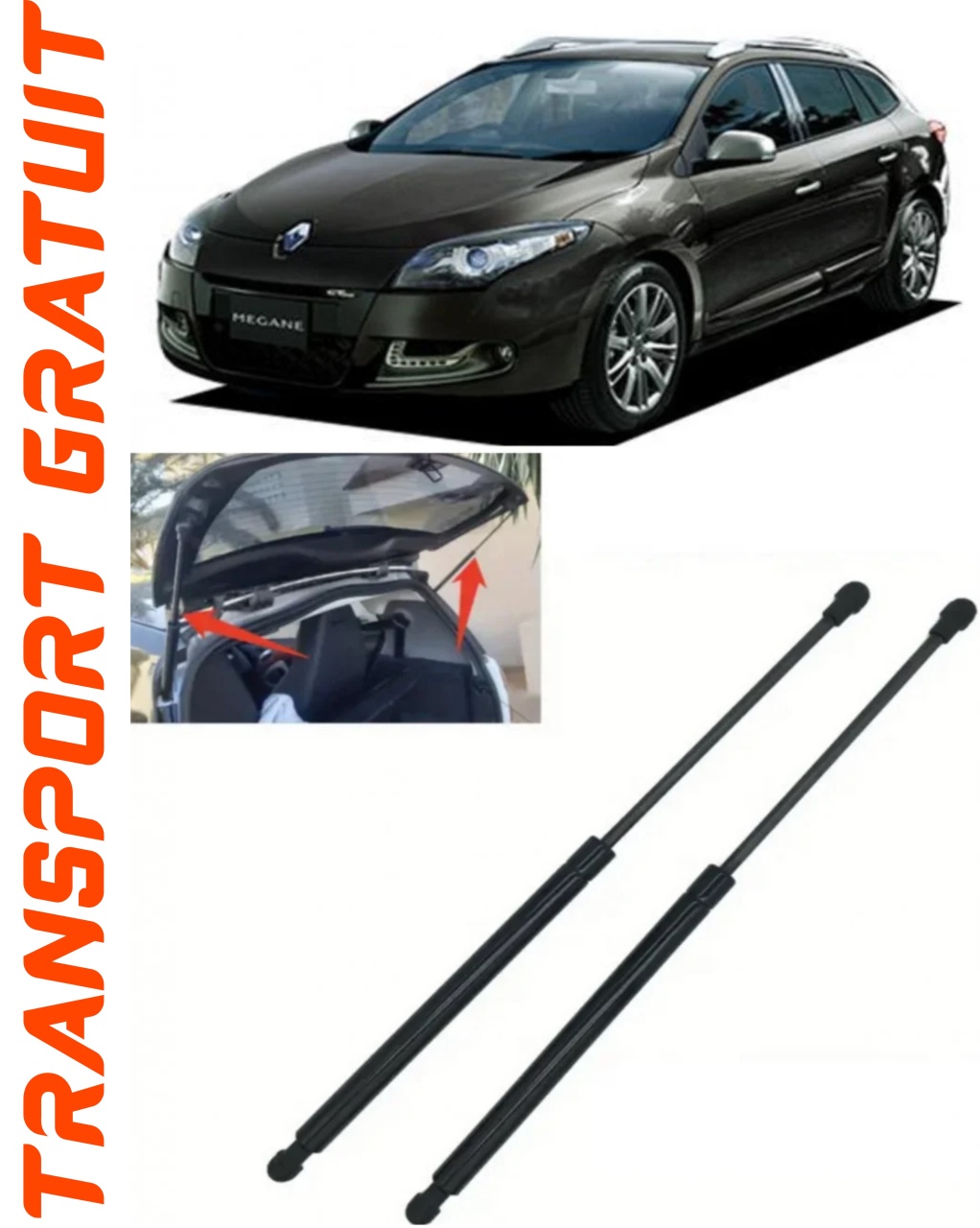 Set 2 amortizoare Haion portbagaj pentru masina Renault Megan III