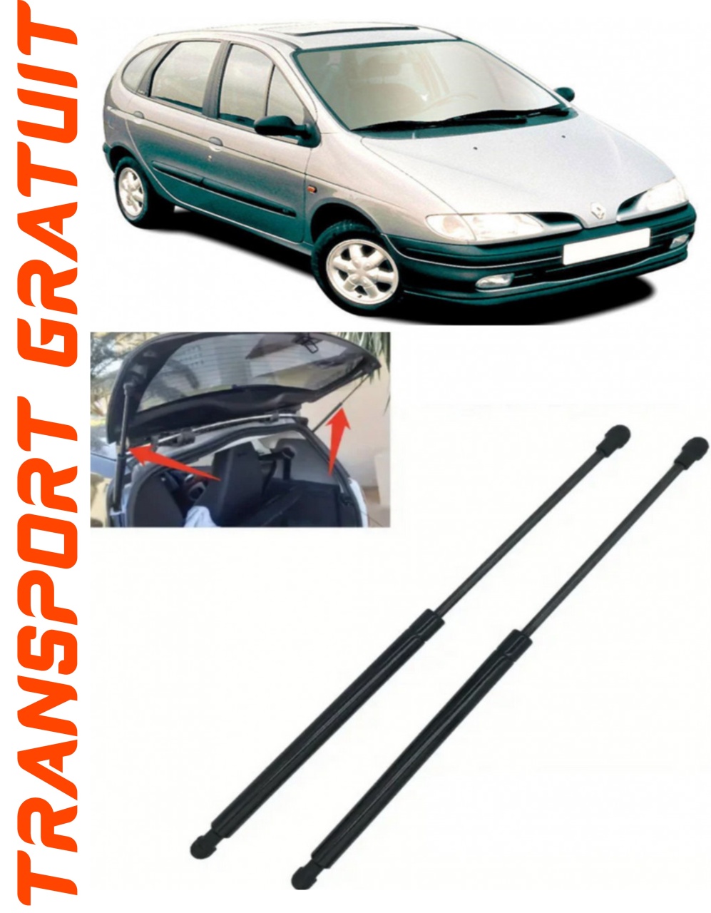 Set 2 amortizoare Haion portbagaj pentru masina Renault Scenic I