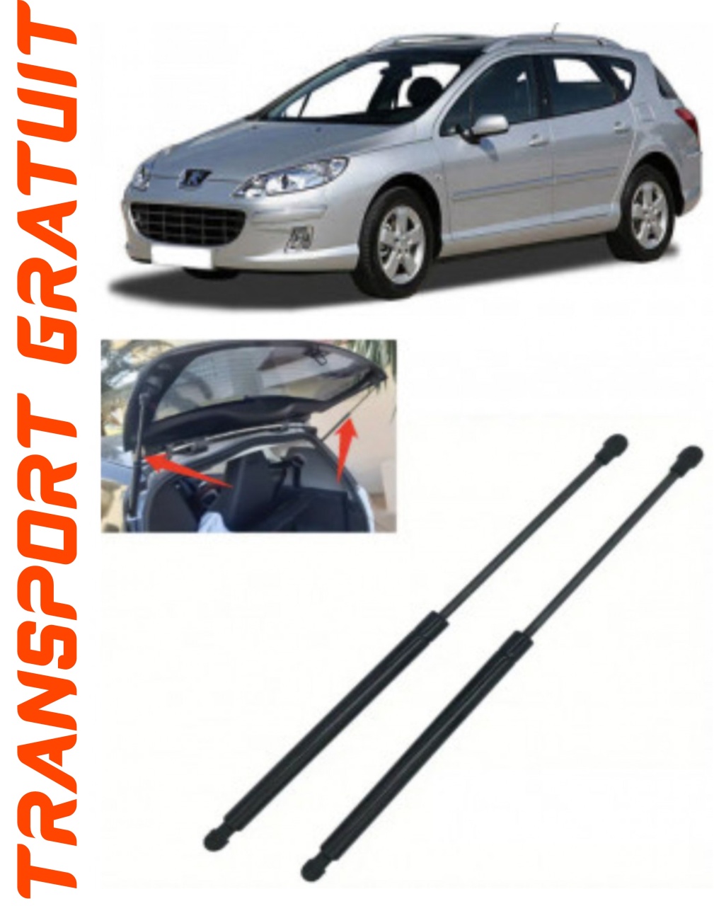 Set 2 amortizoare Haion portbagaj pentru masina Peugeot 407