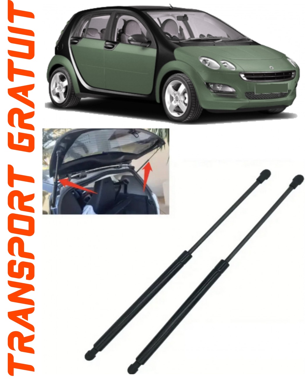 Set 2 amortizoare Haion portbagaj pentru masina Smart Forfour