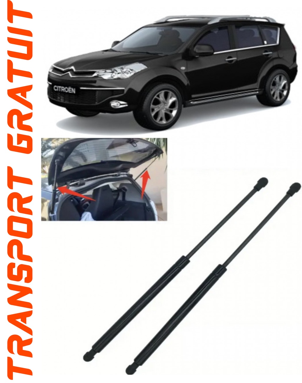 Set 2 amortizoare Haion portbagaj pentru masina Citroen C-Crosser