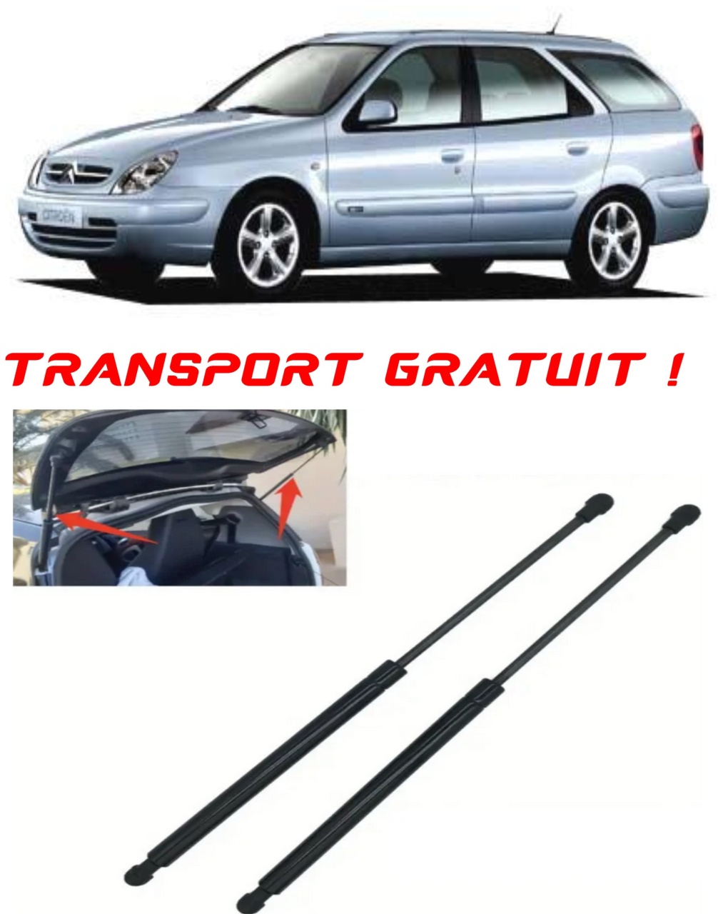 Set 2 amortizoare Haion portbagaj pentru masina Citroen XSARA Break (N2)