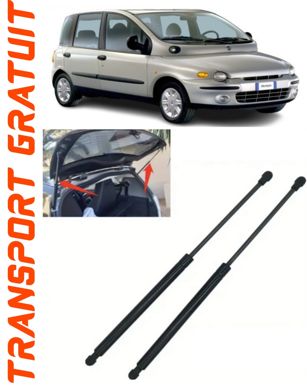 Set 2 amortizoare Haion portbagaj pentru masina Fiat Multipla