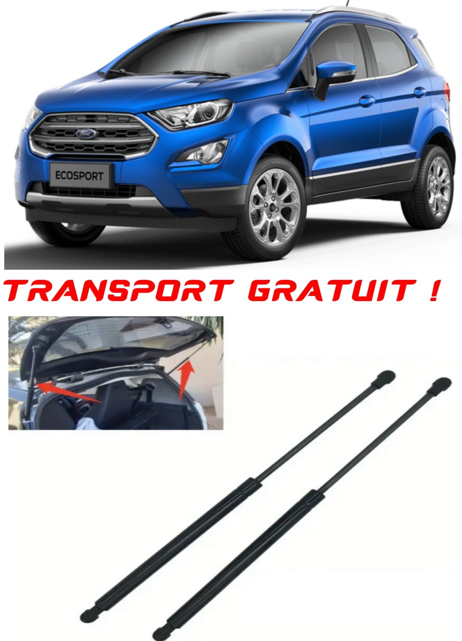 Set 2 amortizoare Haion portbagaj pentru masina Ford EcoSport