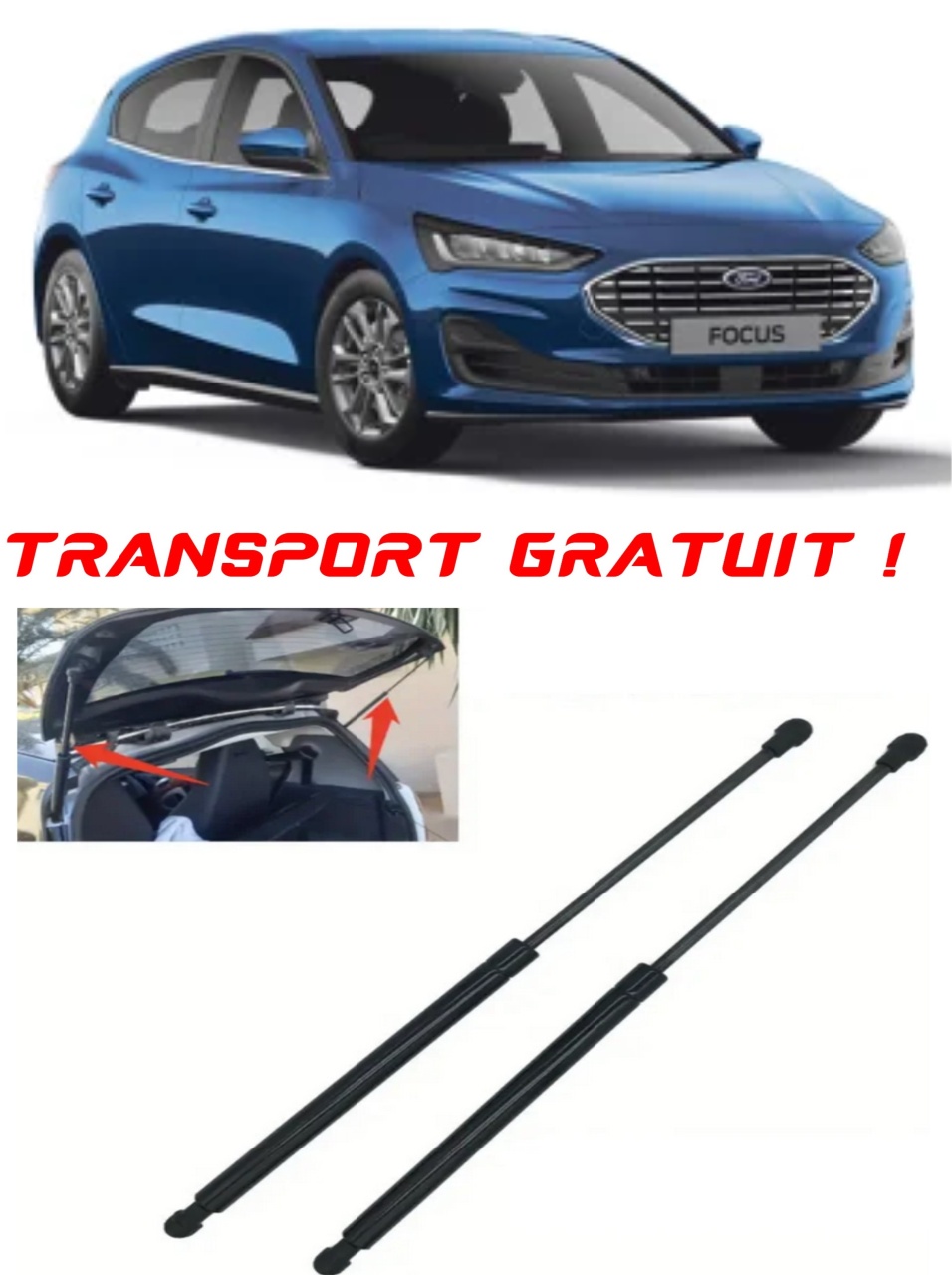 Set 2 amortizoare Haion portbagaj pentru masina Ford FOCUS IV (HN)