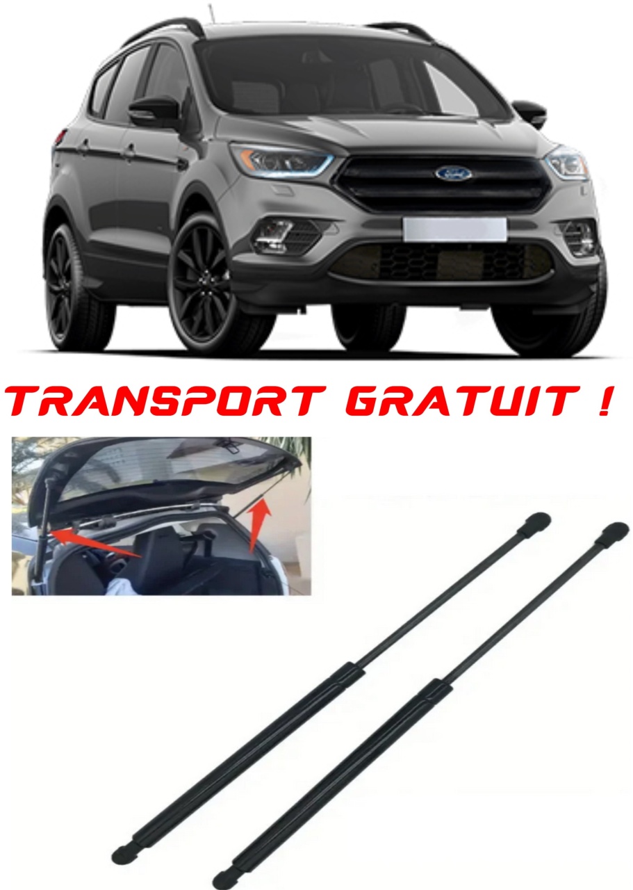 Set 2 amortizoare Haion portbagaj pentru masina Ford KUGA II (DM2)