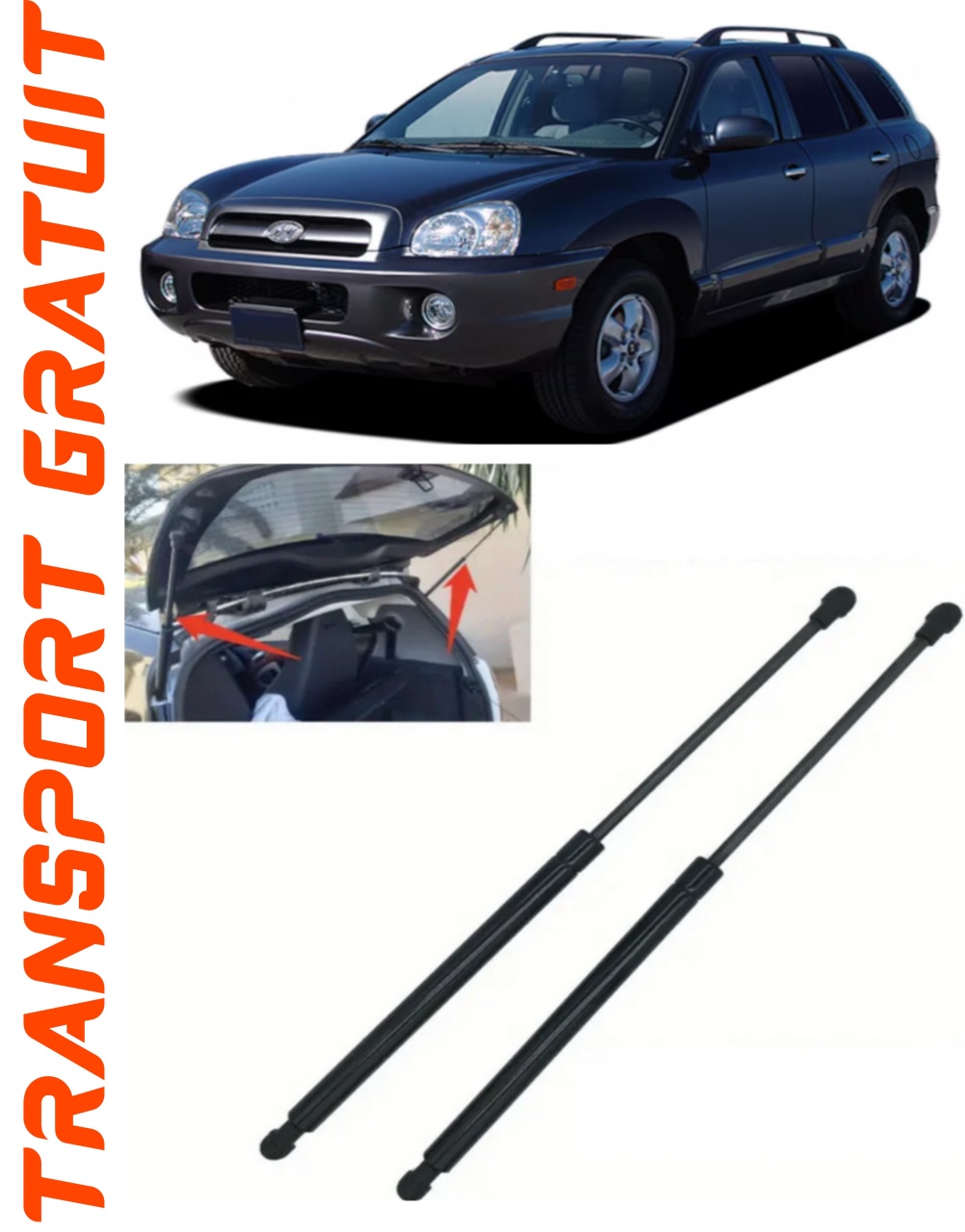 Set 2 amortizoare Haion portbagaj pentru masina Hyundai Santa Fe I