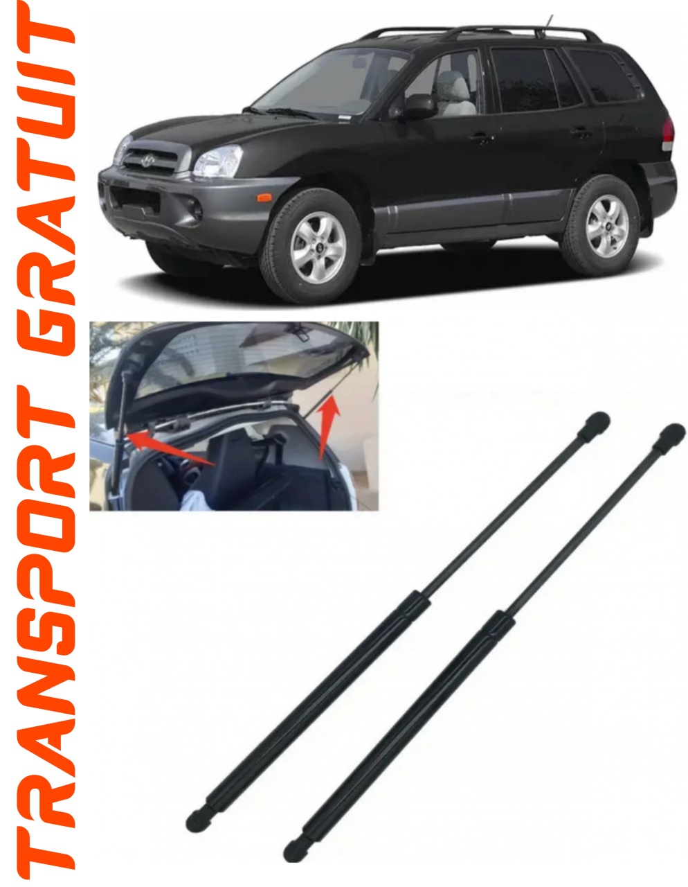 Set 2 amortizoare Haion portbagaj pentru masina Hyundai Santa Fe I
