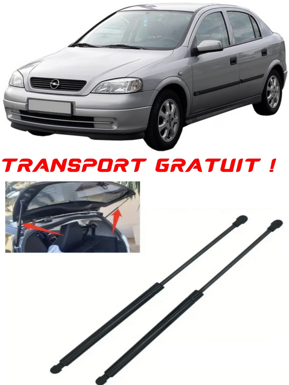 Set 2 amortizoare Haion portbagaj pentru masina Opel ASTRA G CLASSIC (T98)