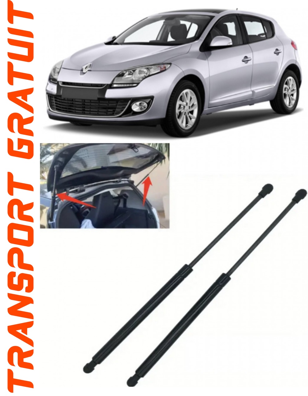 Set 2 amortizoare Haion portbagaj pentru masina Renault Megan III