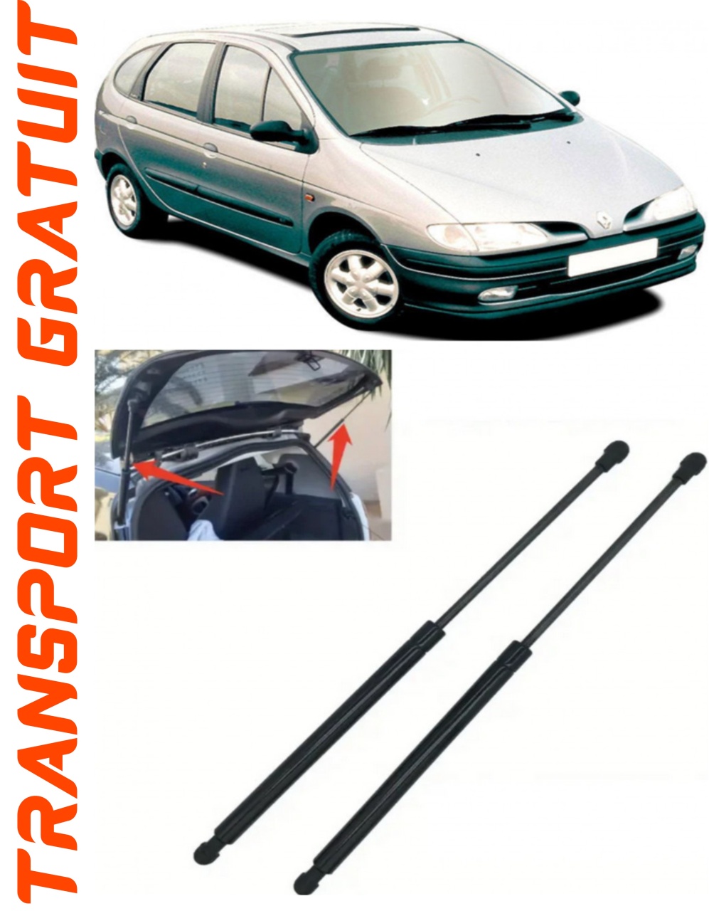 Set 2 amortizoare Haion portbagaj pentru masina Renault Megane I