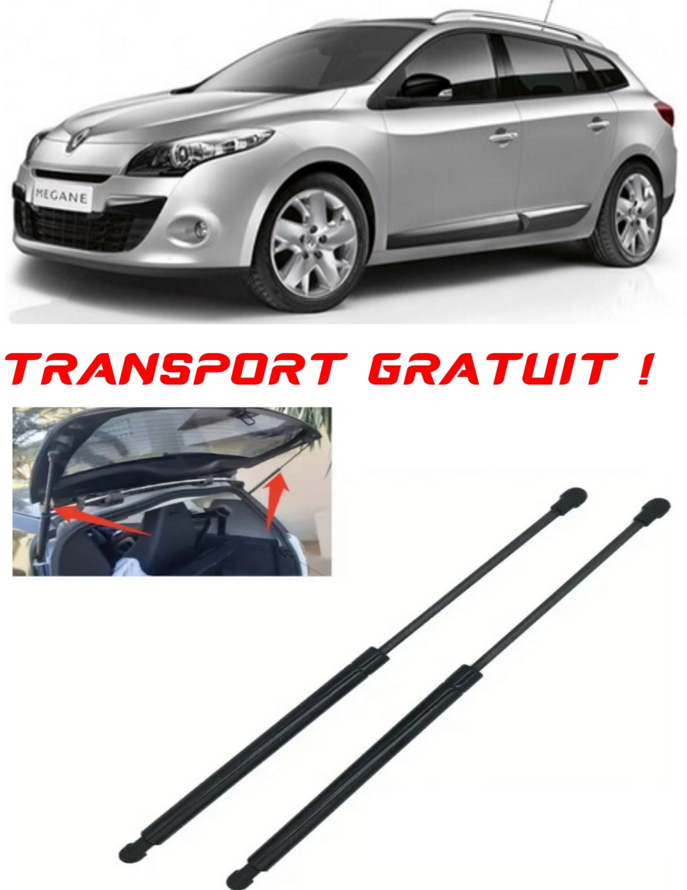 Set 2 amortizoare Haion portbagaj pentru masina Renault MEGANE II Estate (KM0/1_)