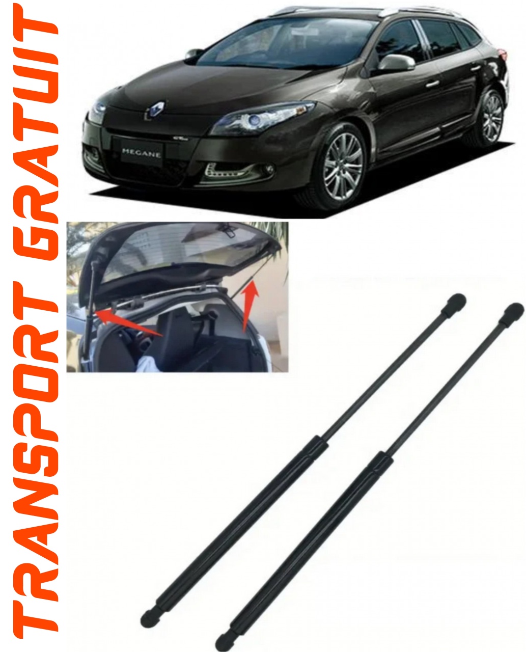 Set 2 amortizoare Haion portbagaj pentru masina Renault Megane