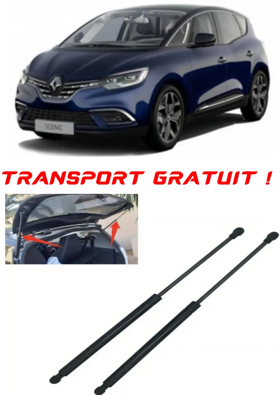 Set 2 amortizoare Haion portbagaj pentru masina Renault SCENIC IV (J9_)