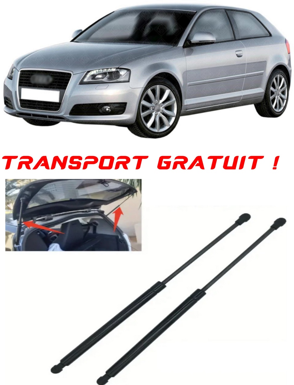 Set 2 amortizoare Haion portbagaj pentru masina AUDI A3 (8P1)
