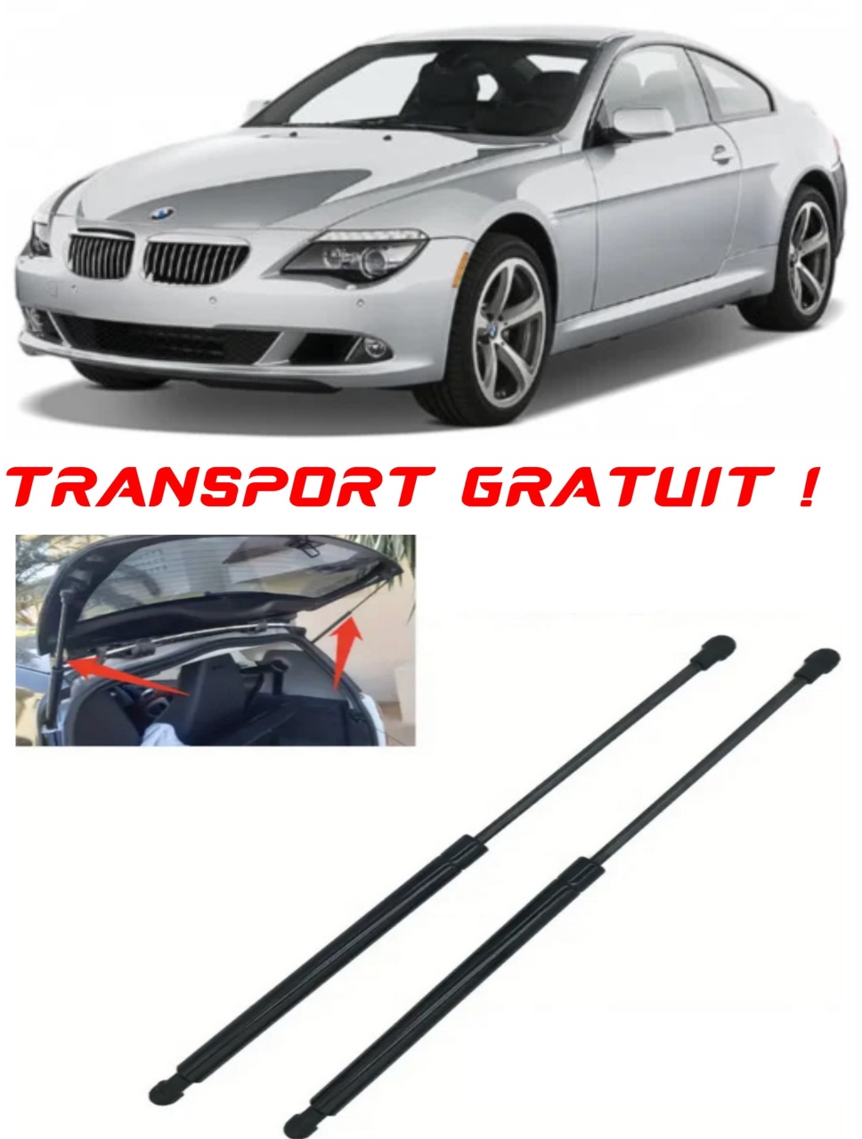 Set 2 amortizoare Haion portbagaj pentru masina BMW 6 (E63)