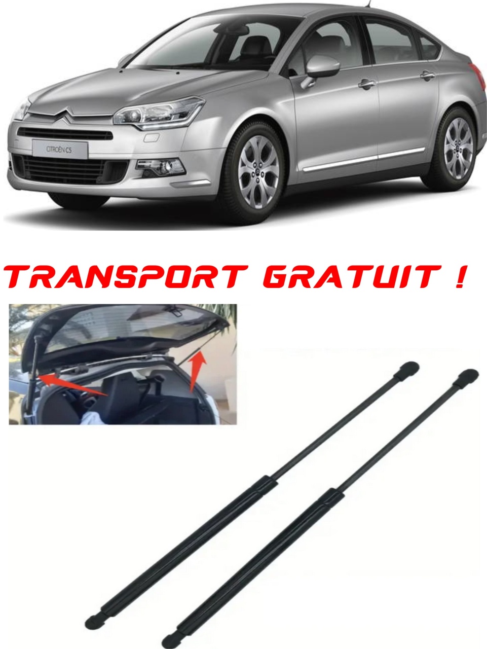 Set 2 amortizoare Haion portbagaj pentru masina Citroen C5 II (RC_)