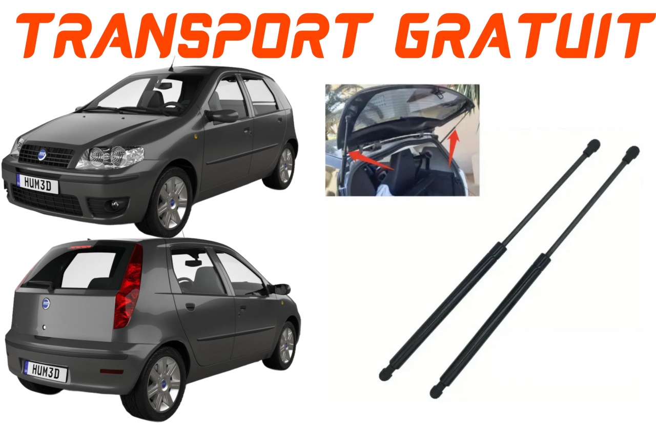 Set 2 amortizoare Haion portbagaj pentru masina Fiat Punto