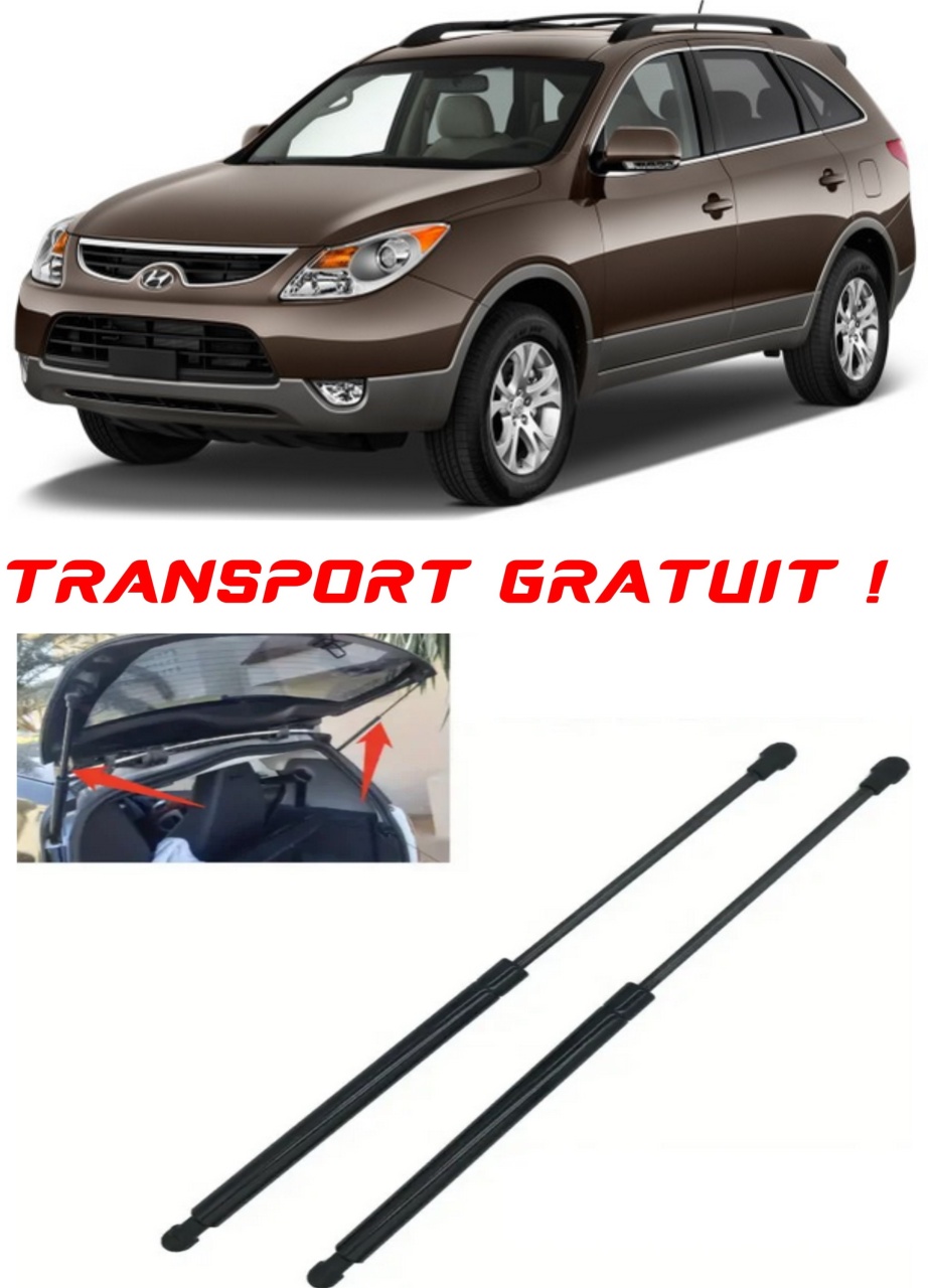 Set 2 amortizoare Haion portbagaj pentru masina Hyundai IX55