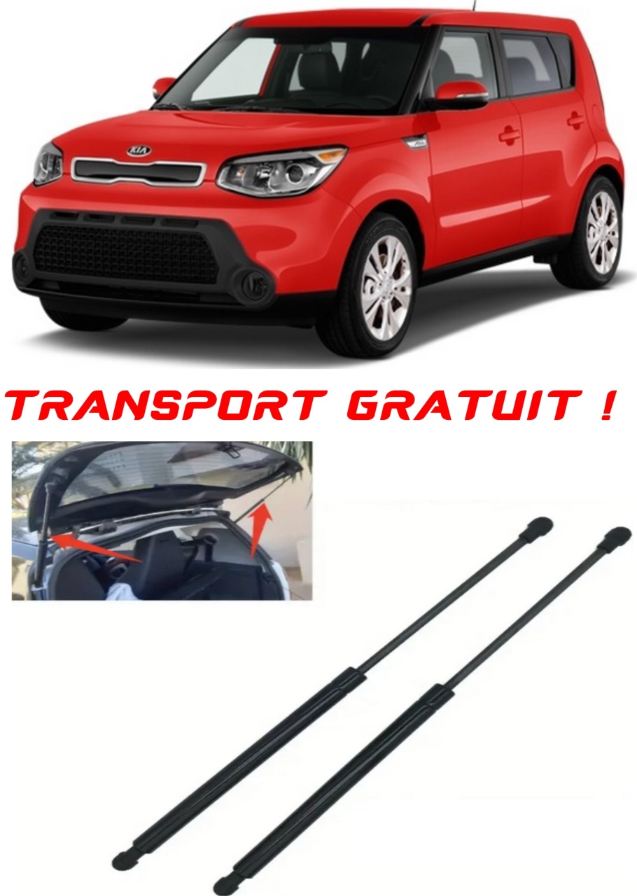 Set 2 amortizoare Haion portbagaj pentru masina Kia SOUL I (AM)