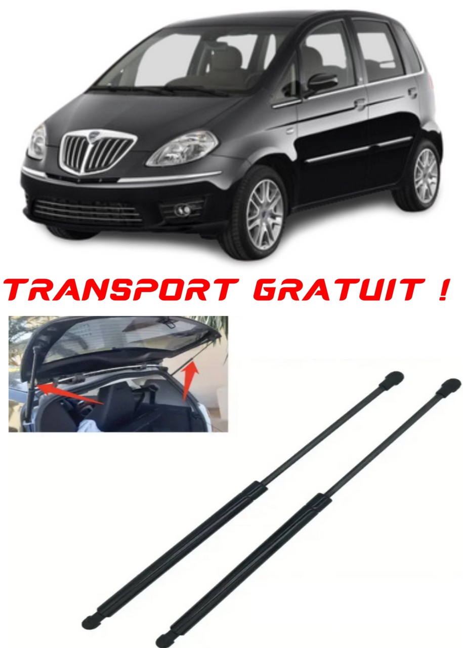 Set 2 amortizoare Haion portbagaj pentru masina Lancia MUSA (350_)