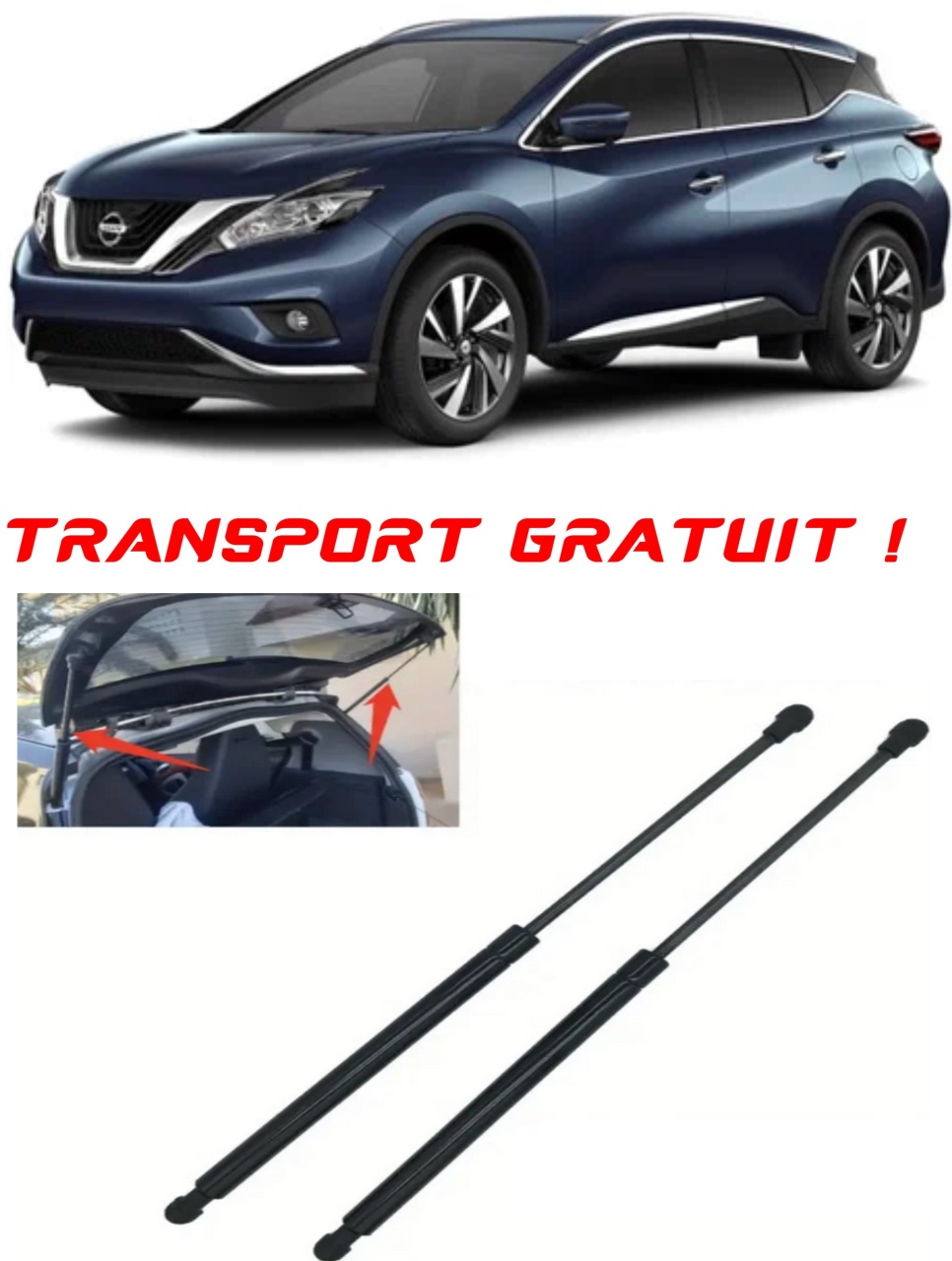Set 2 amortizoare Haion portbagaj pentru masina Nissan MURANO III (Z52_)