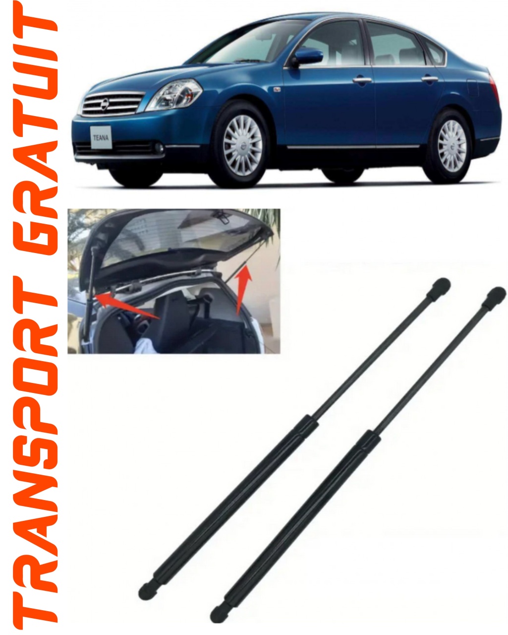 Set 2 amortizoare Haion portbagaj pentru masina Nissan Teana I