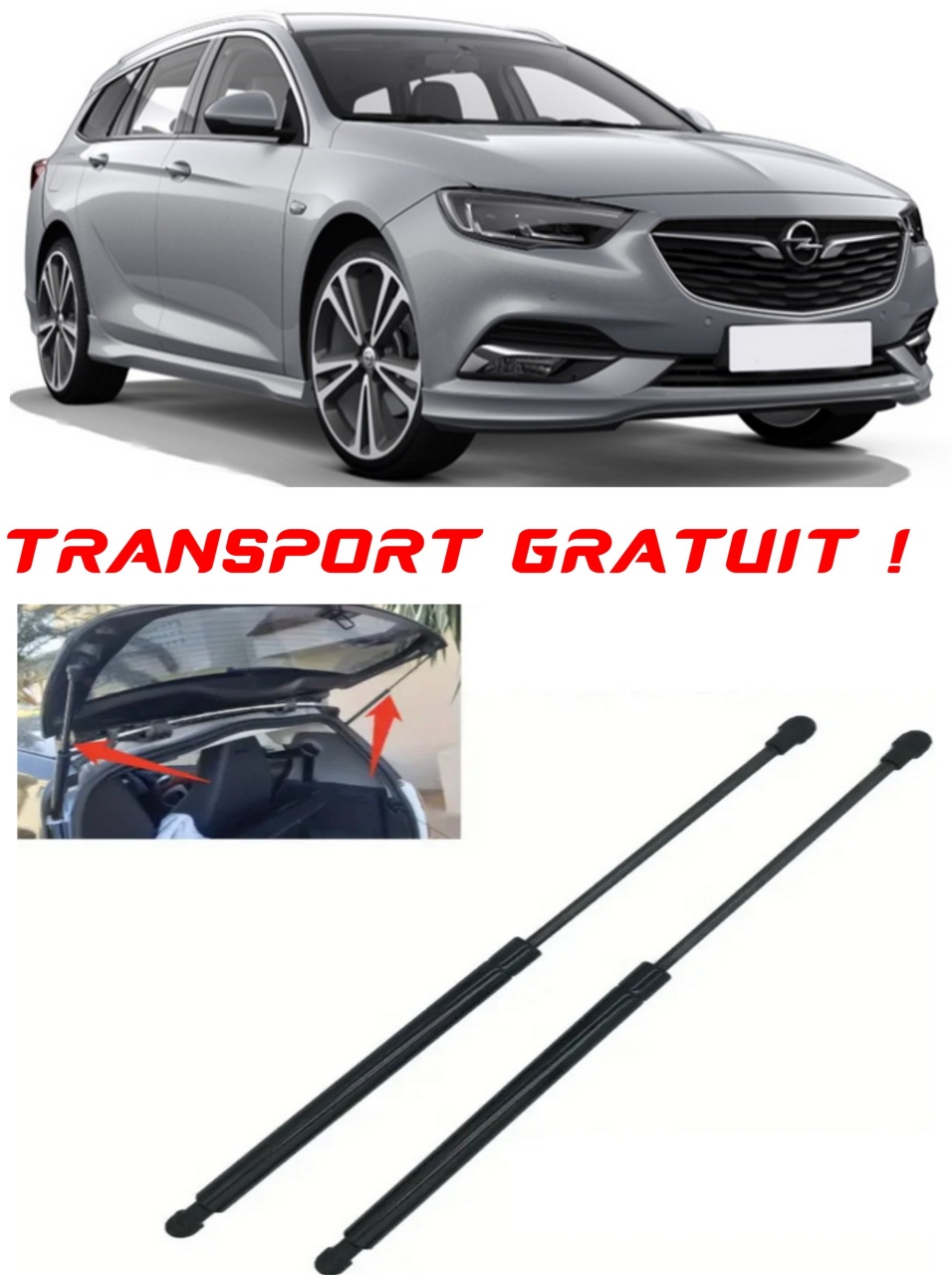 Set 2 amortizoare Haion portbagaj pentru masina Opel INSIGNIA B Grand Sport (Z18)