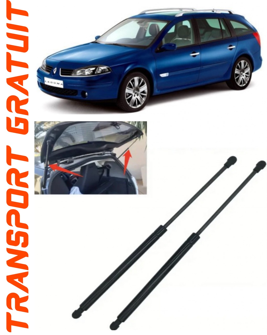 Set 2 amortizoare Haion portbagaj pentru masina Renault Laguna II