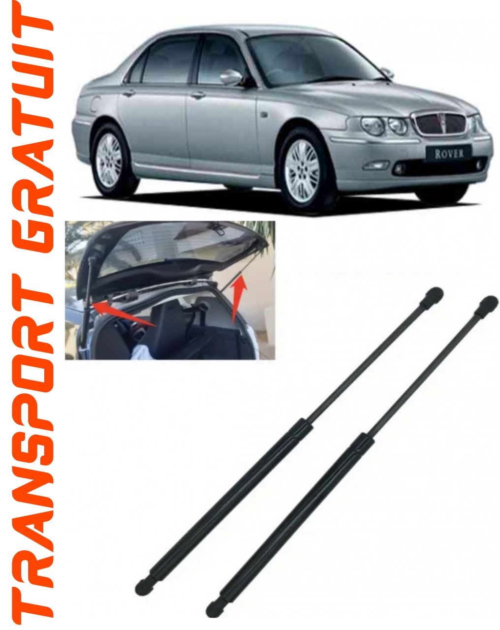 Set 2 amortizoare Haion portbagaj pentru masina Rover 75