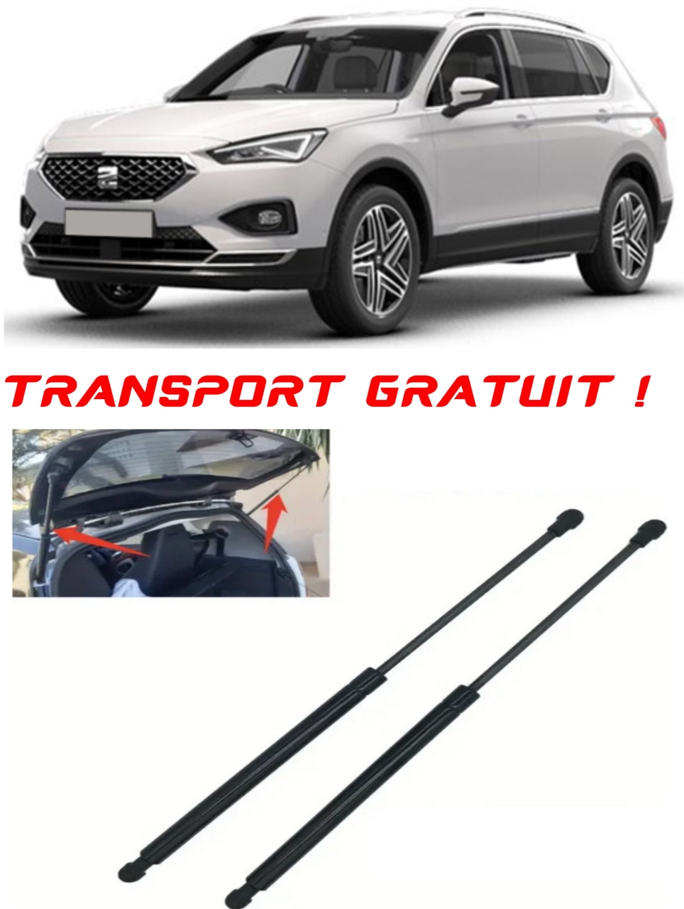 Set 2 amortizoare Haion portbagaj pentru masina Seat TARRACO (KN2)
