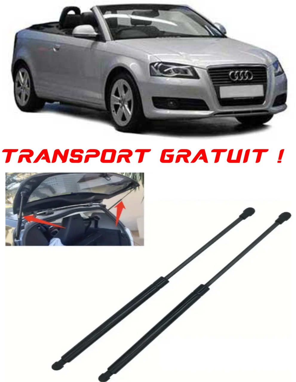 Set 2 amortizoare Haion portbagaj pentru masina AUDI A3 Convertible (8P7)