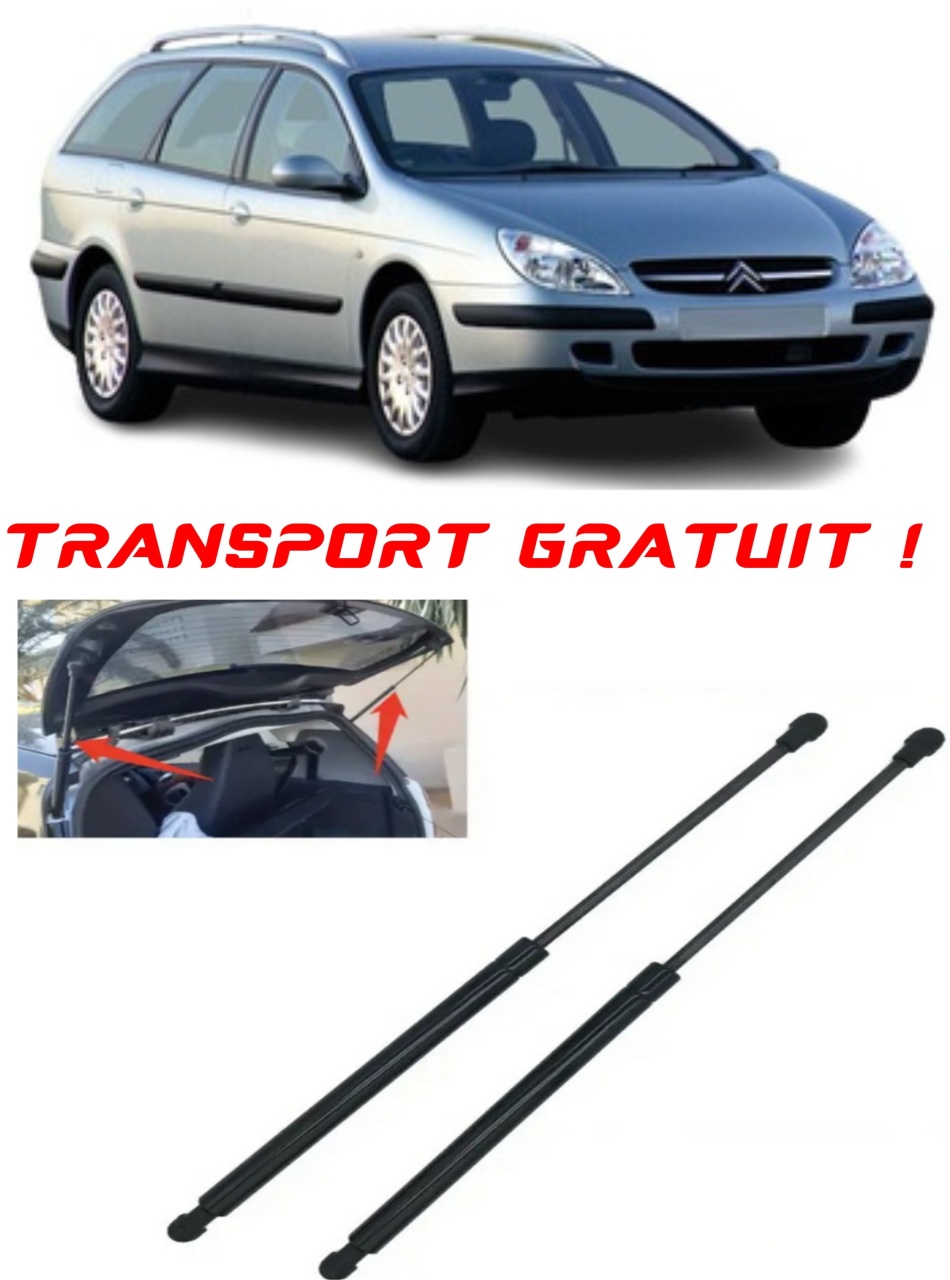 Set 2 amortizoare Haion portbagaj pentru masina Citroen C5 I Break (DE_)
