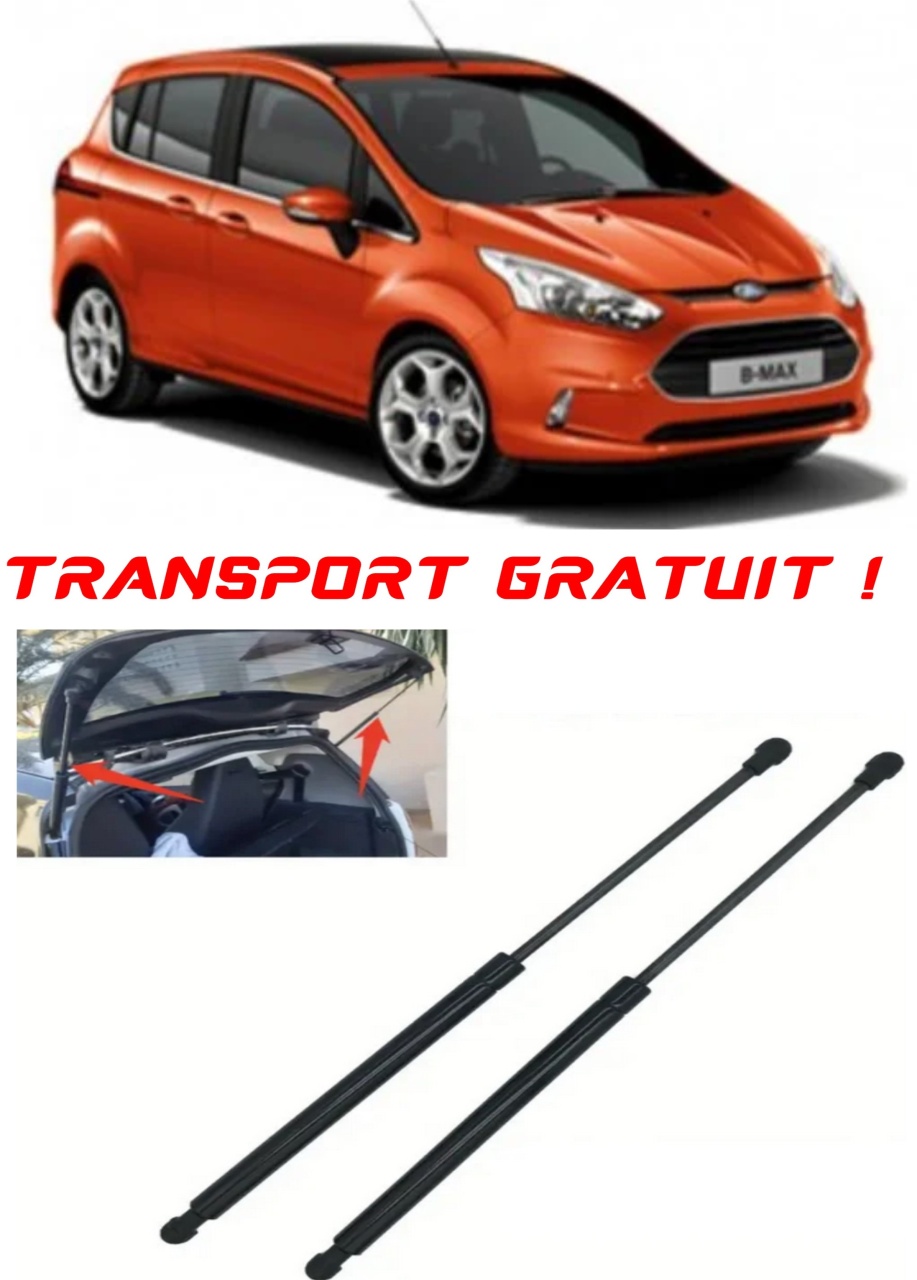 Set 2 amortizoare Haion portbagaj pentru masina Ford B-MAX (JK)