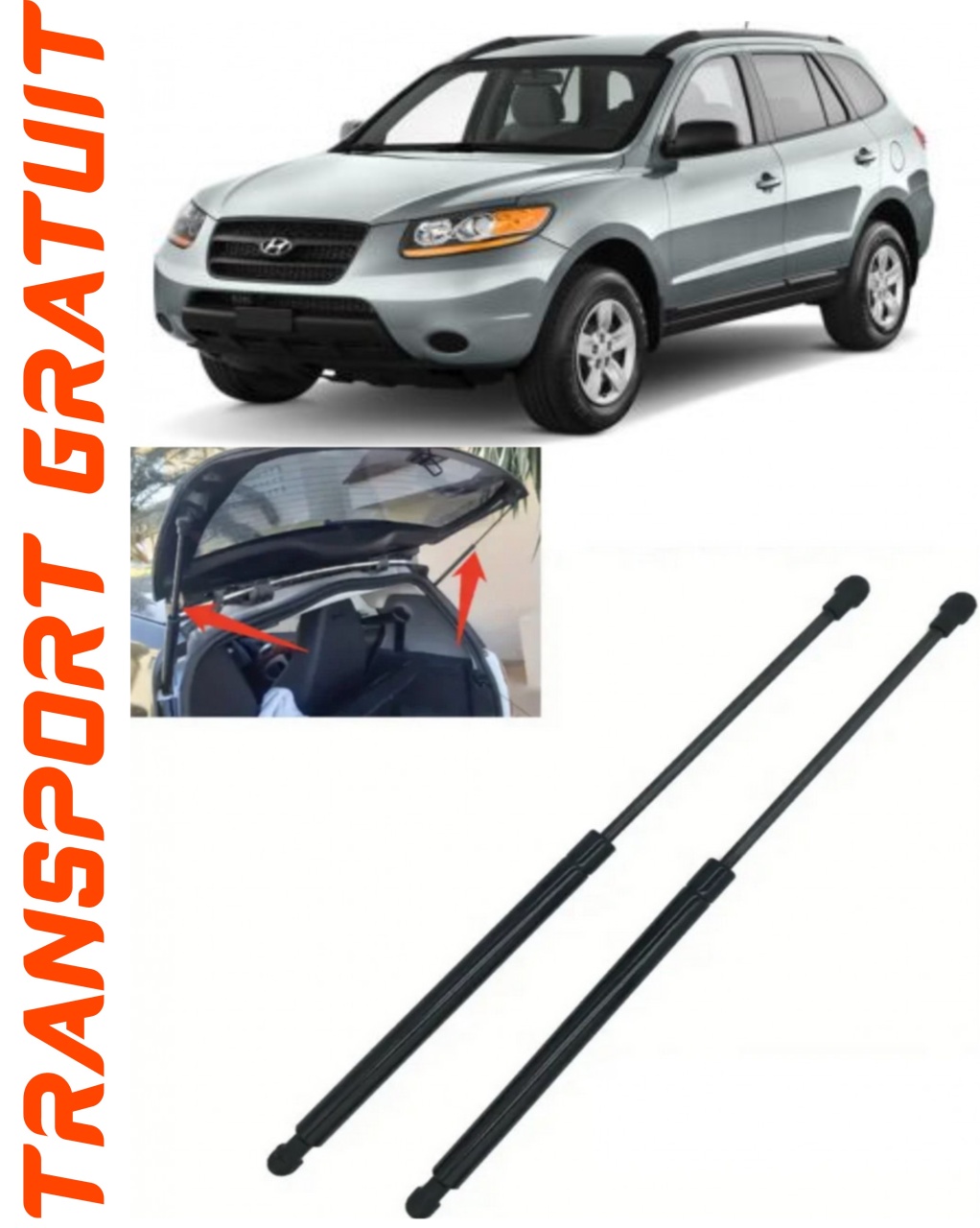 Set 2 amortizoare Haion portbagaj pentru masina Hyundai Santa Fe II