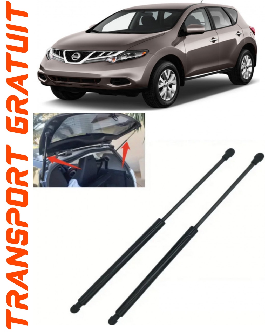 Set 2 amortizoare Haion portbagaj pentru masina Nissan Murano II