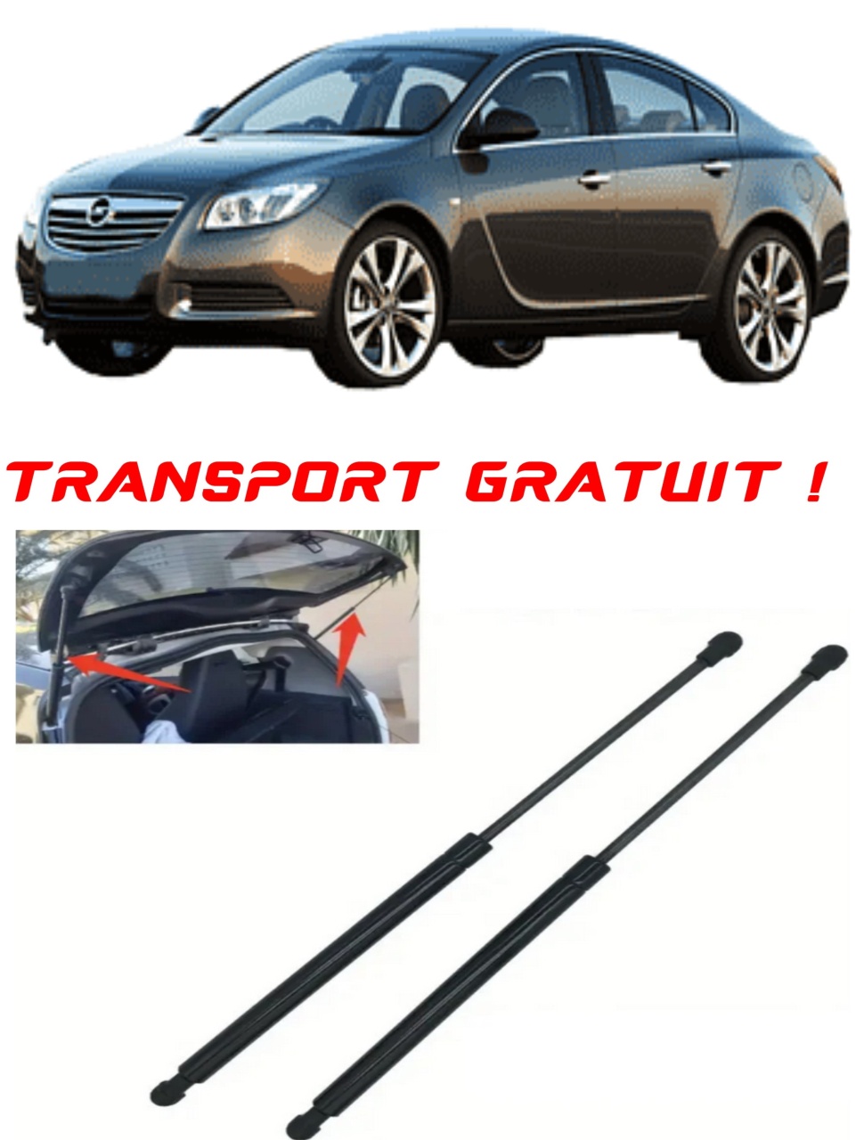 Set 2 amortizoare Haion portbagaj pentru masina Opel INSIGNIA A (G09)