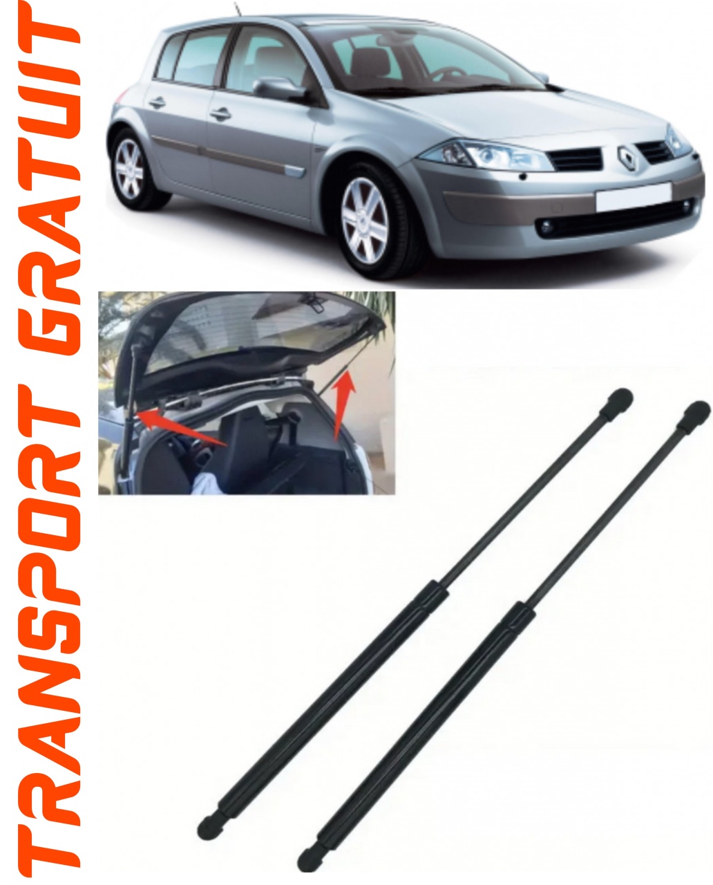 Set 2 amortizoare Haion portbagaj pentru masina Renault Megane II
