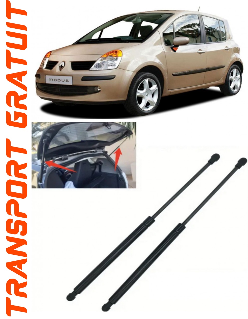 Set 2 amortizoare Haion portbagaj pentru masina Renault Modus